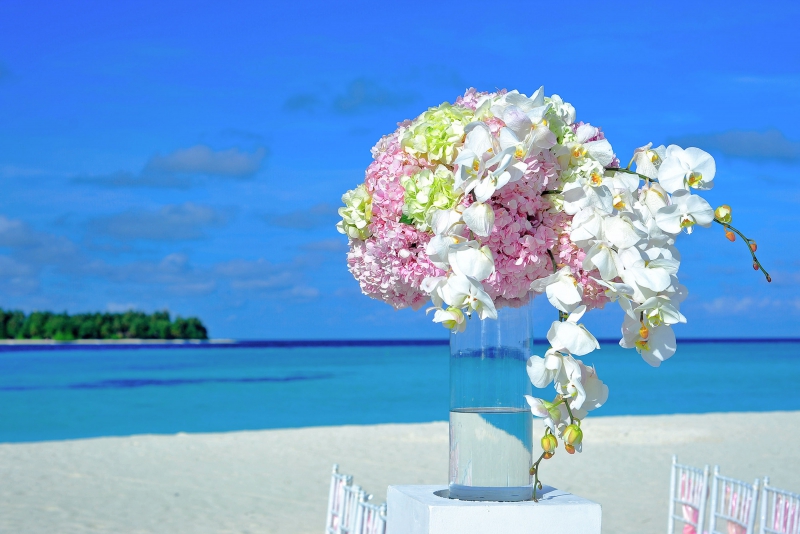 fleuriste-CARCES-min_atoll-1854071