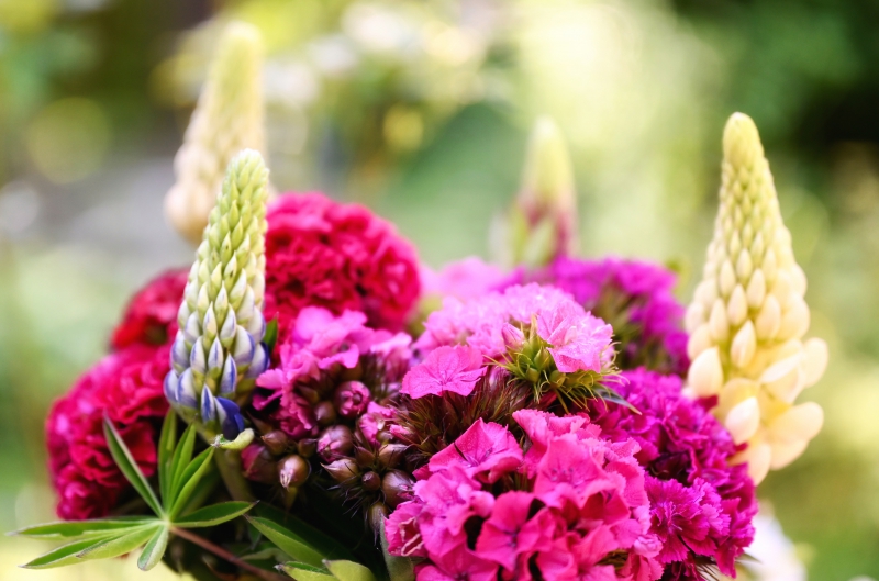 fleuriste-CARCES-min_flowers-5369794